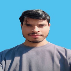 Ankit Kumar image